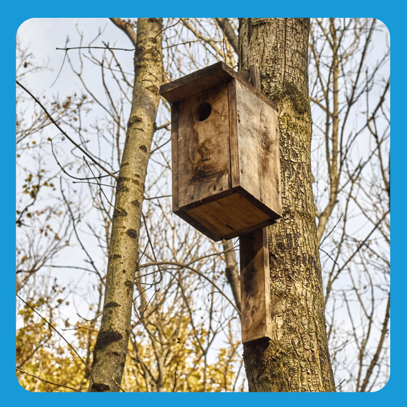 Nestkasten - Hulst Wind Energy